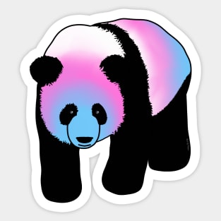 Trans Panda Sticker